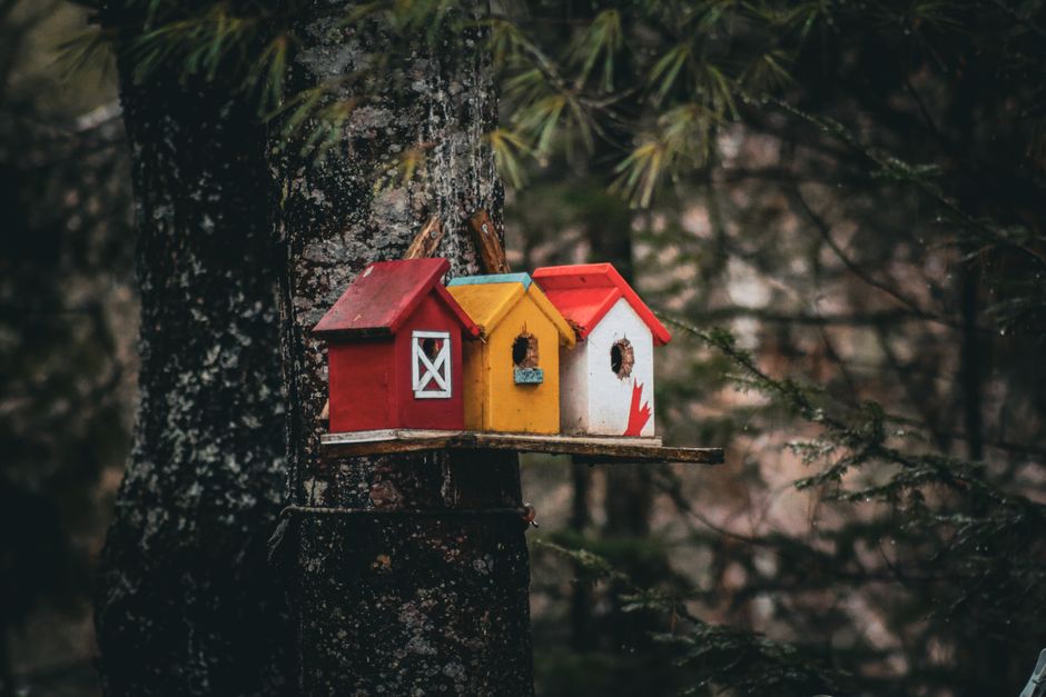 Kleurrijke vogelvoederhuisjes tussen herfstbladeren.