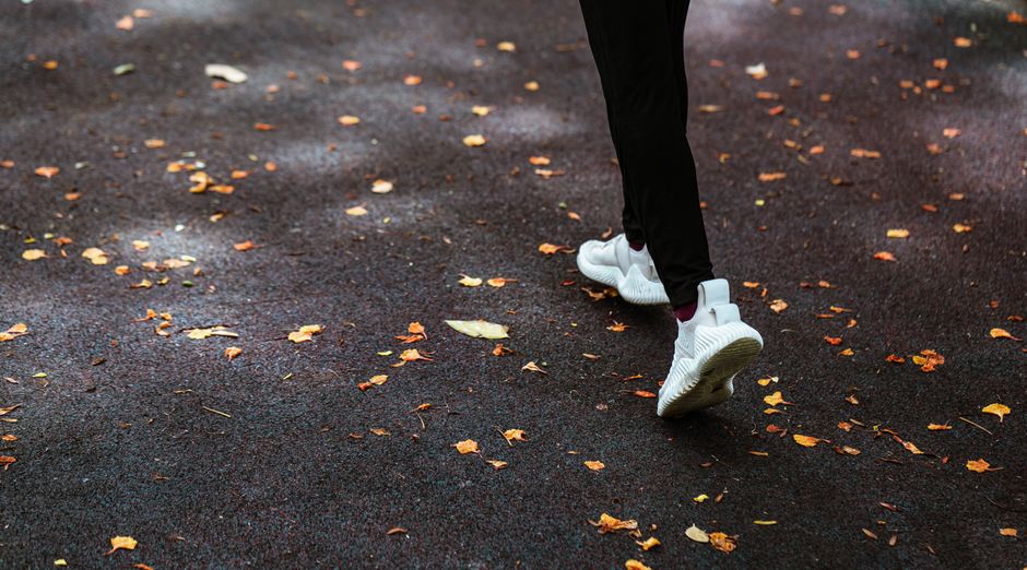 Herfstkleuren versmelten met fitnessuitrusting in wellnessruimte.