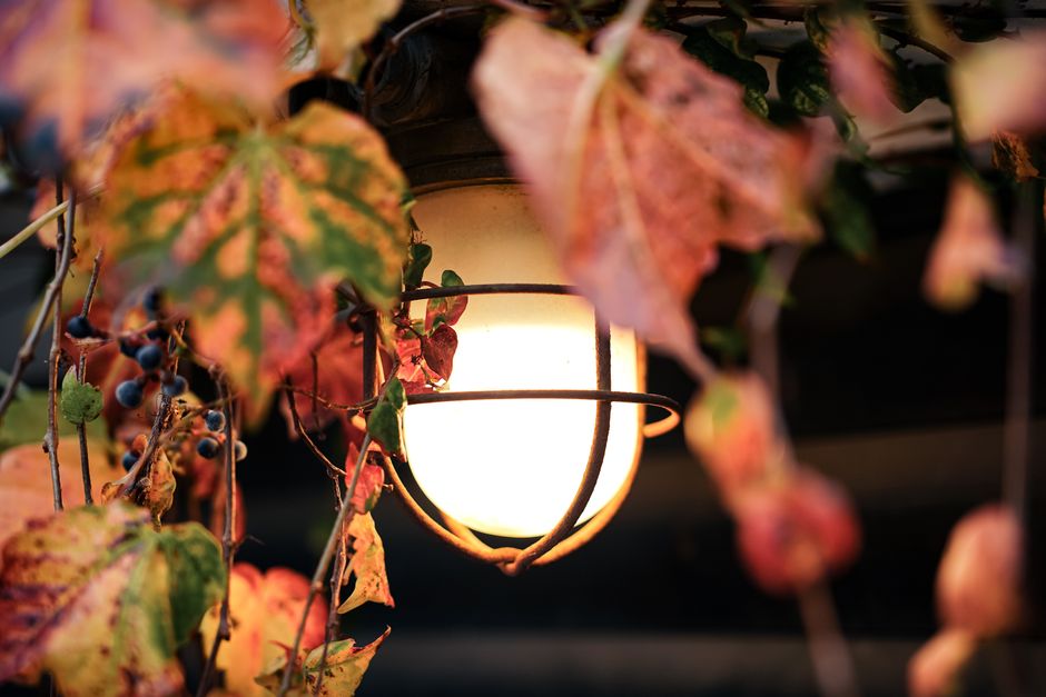 Terrasverlichting verlicht herfstbladeren bij zonsondergang.