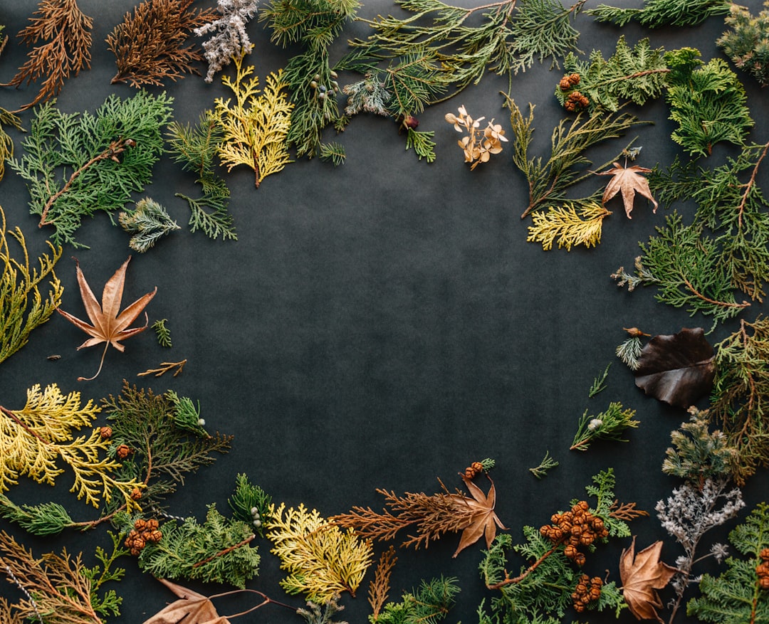 Houten tafels met kleurrijke herfstbladeren.